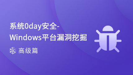 【预售】系统0day安全-Windows平台漏洞挖掘