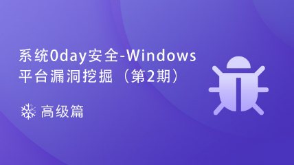 系统0day安全-Windows平台漏洞挖掘（第2期）